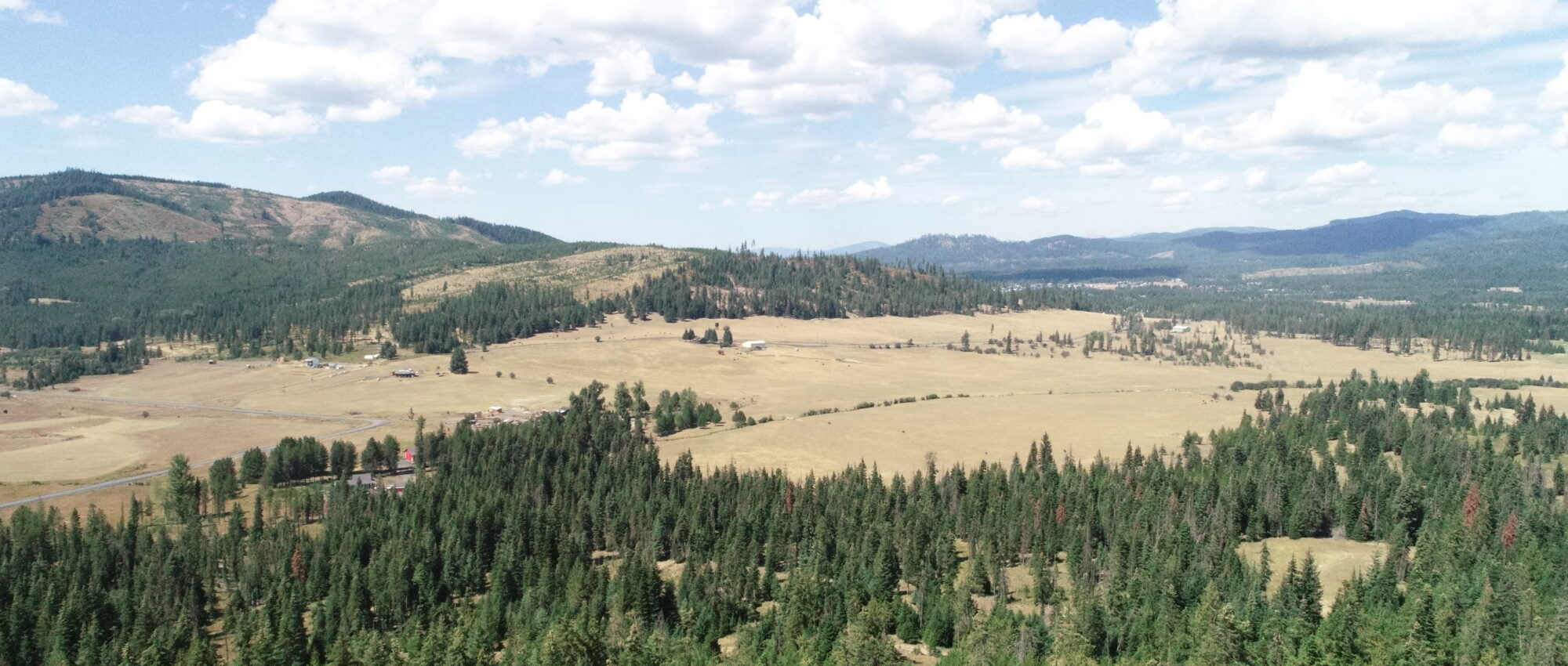 NNA lot 2 Carpenter Creek Rd Fernwood, ID 83830 NNA lot 2 Carpenter Creek Rd Fernwood, ID 83830