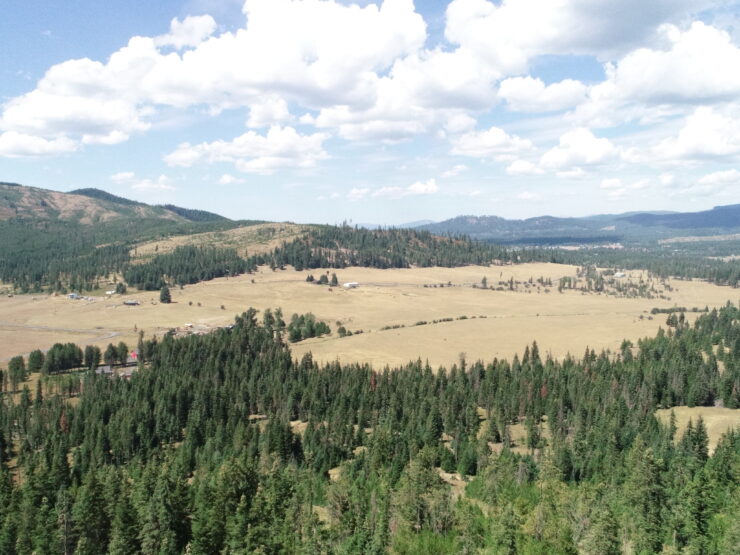 NNA lot 2 Carpenter Creek Rd Fernwood, ID 83830