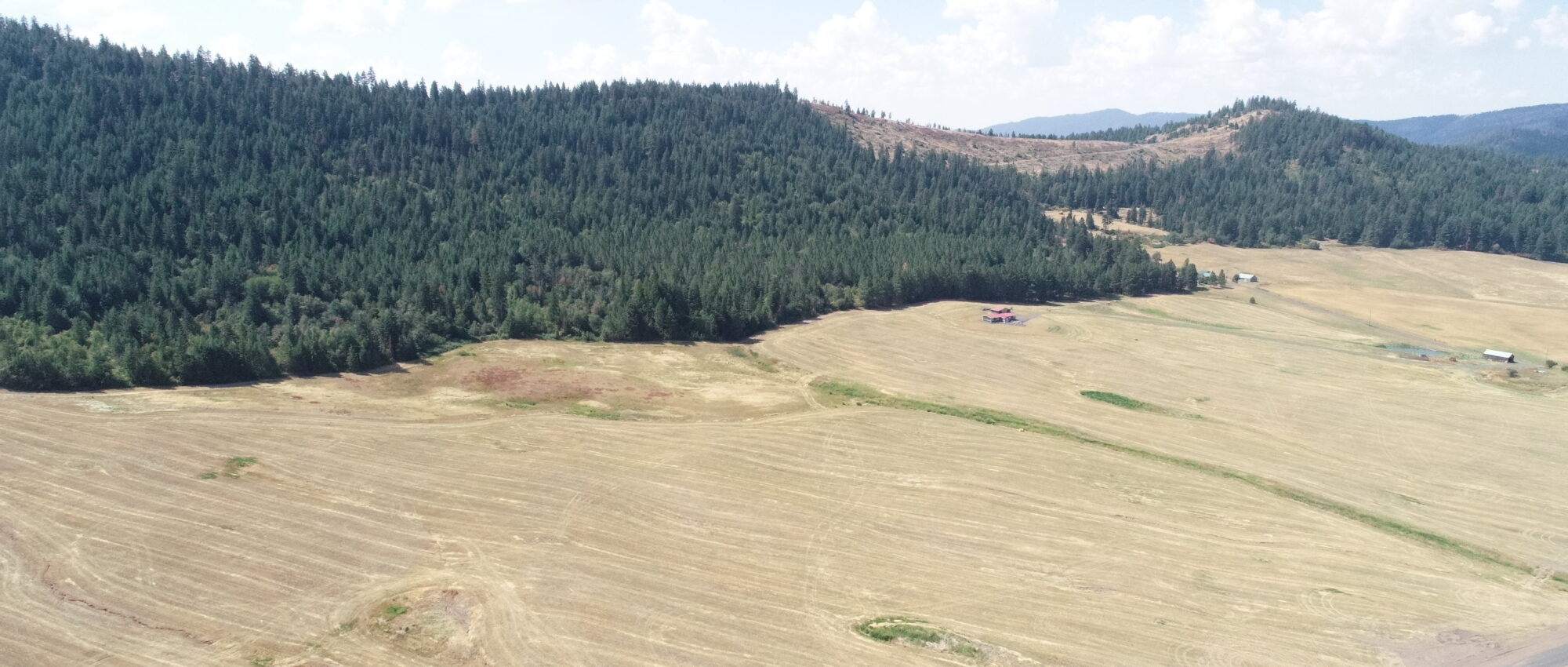 LOT 4 Pebblestone Dr Plummer, ID 83851