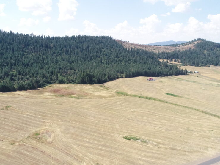 LOT 4 Pebblestone Dr Plummer, ID 83851