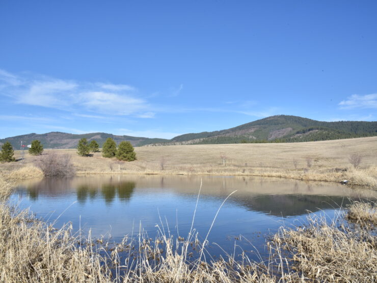 NNA Moses Mountain Rd Tensed, ID 83870