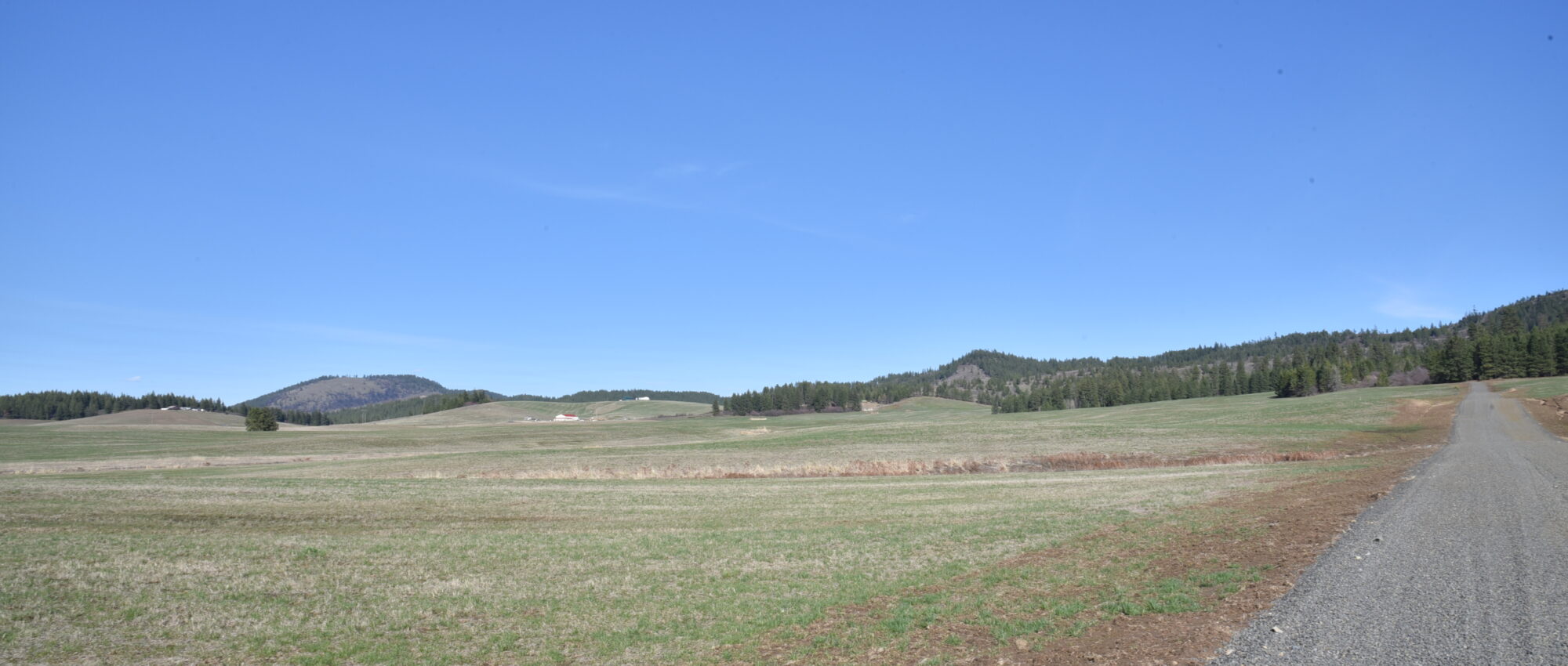 Lot 7 Pebblestone Dr Plummer, ID 83851