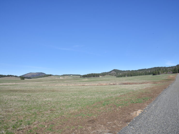 Lot 7 Pebblestone Dr Plummer, ID 83851
