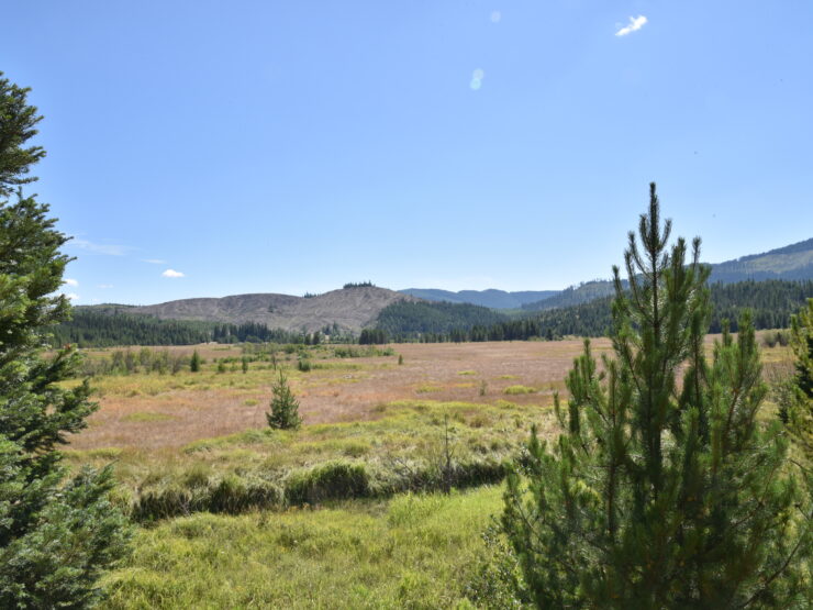 NNA lot 5 Carpenter Creek Rd Fernwood, ID 83830