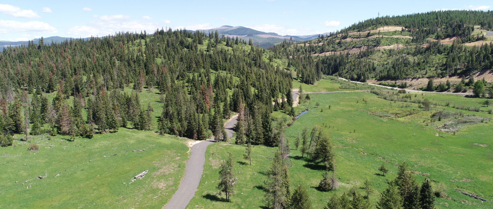 NNA lot 5 Carpenter Creek Rd Fernwood, ID 83830 NNA lot 5 Carpenter Creek Rd Fernwood, ID 83830