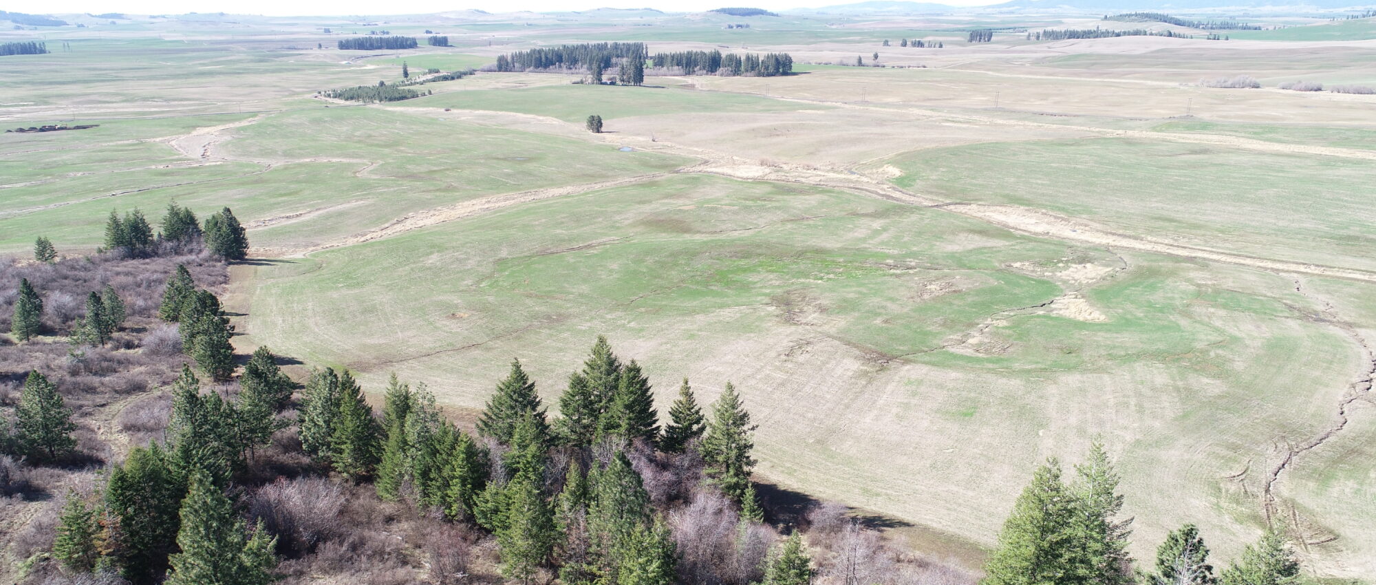 NKA Tyson Creek Rd Santa, ID 83866