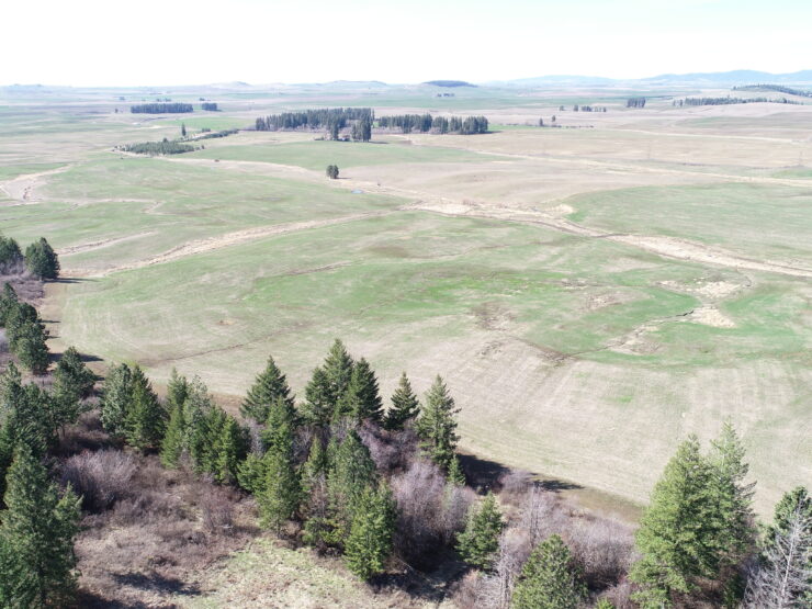 NKA Tyson Creek Rd Santa, ID 83866