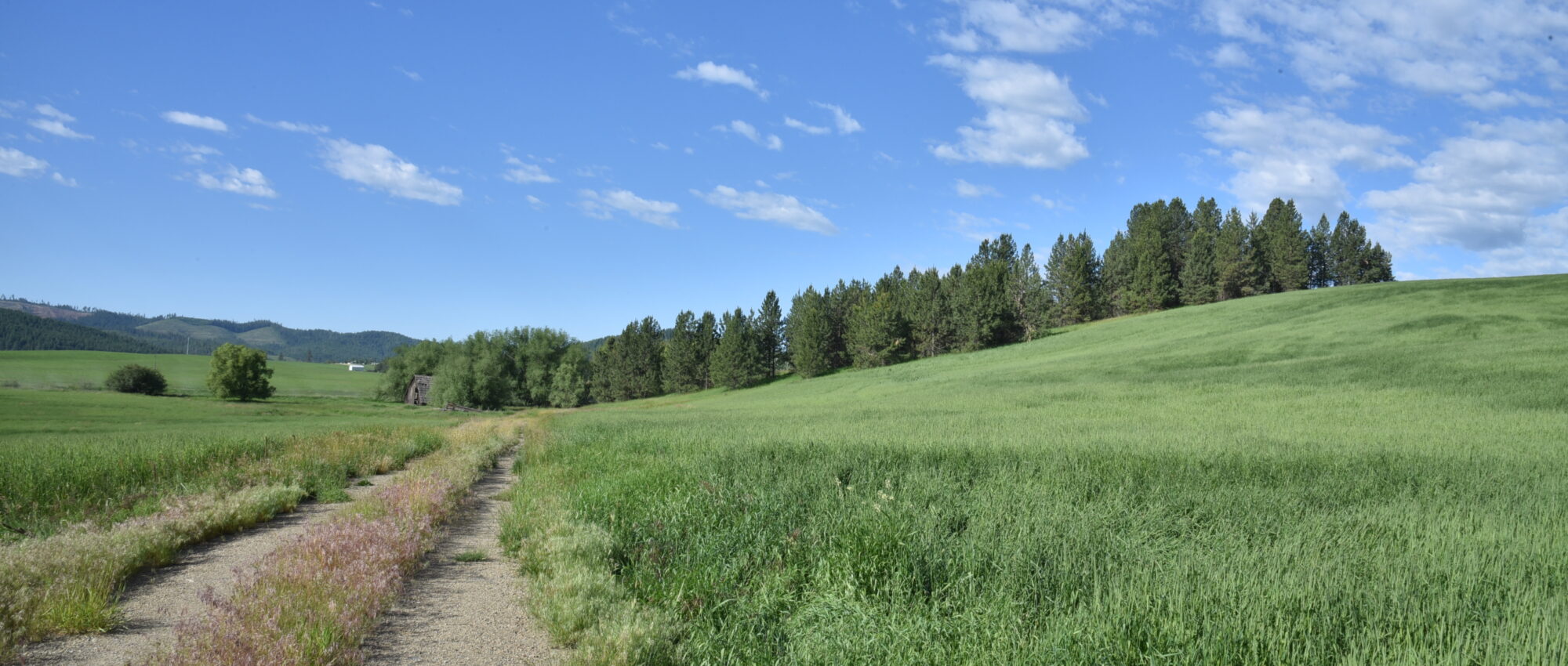 NNA Sanders Rd Tensed, ID 83870 NNA Sanders Rd Tensed, ID 83870