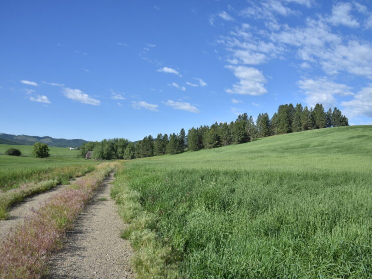 NNA Sanders Rd Tensed, ID 83870