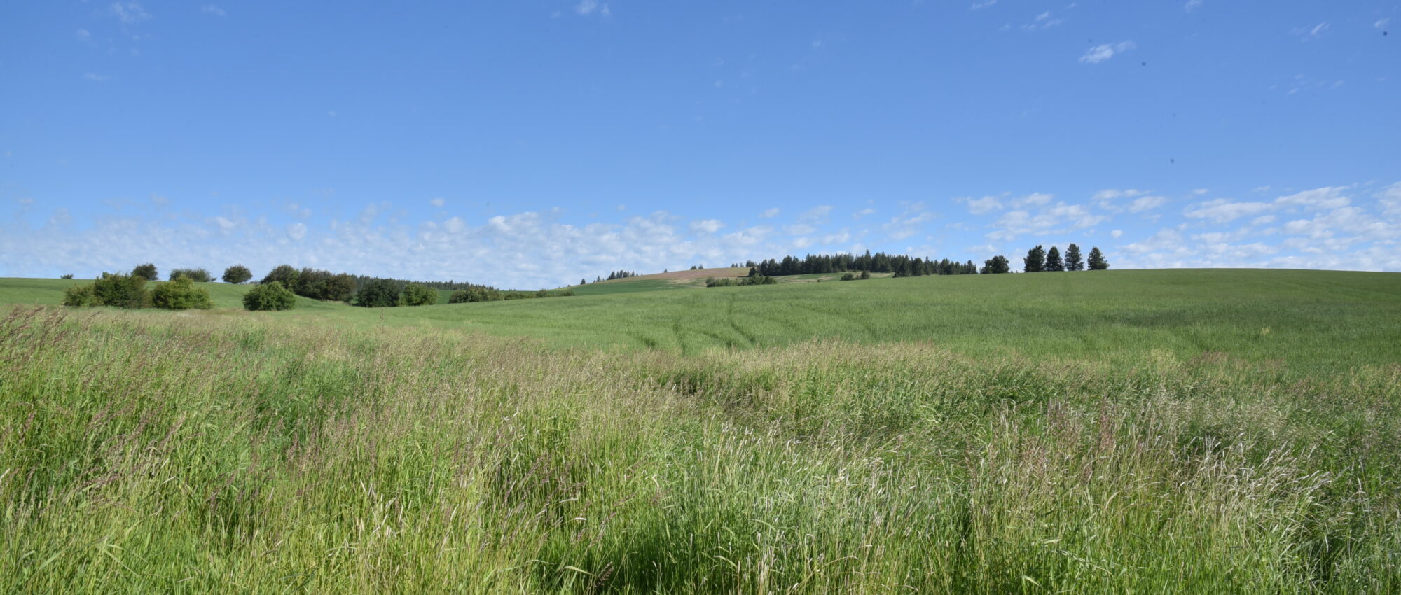 NNA 2 Sanders Rd Tensed, ID 83870 NNA 2 Sanders Rd Tensed, ID 83870