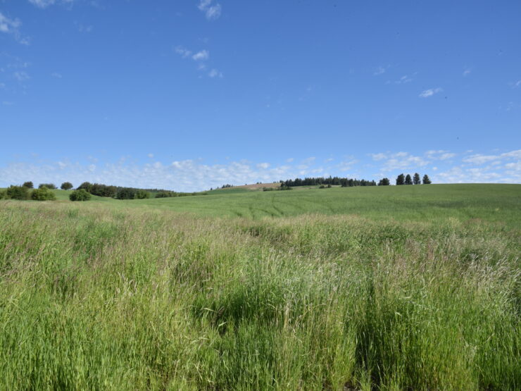 NNA 2 Sanders Rd Tensed, ID 83870