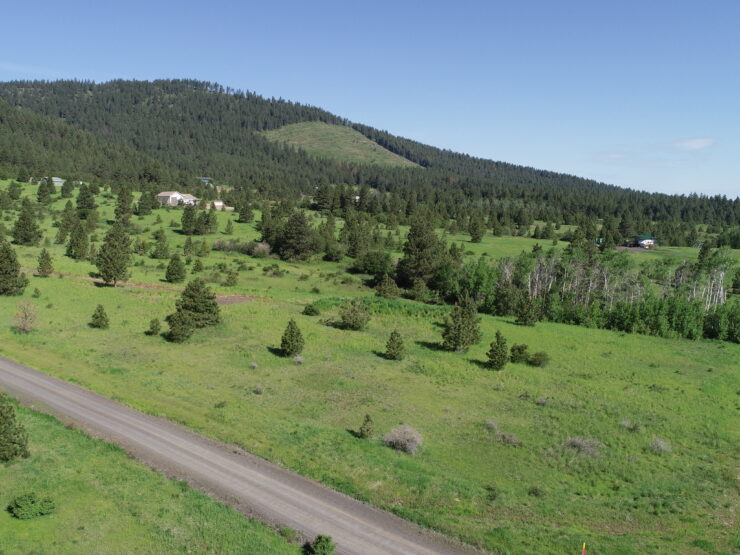 404 Vine Maple Rd Desmet, ID 83824